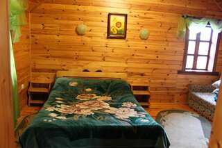 Гостевой дом Girske Povitrya Cottage Яремче Двухместный номер Делюкс с 1 кроватью и дополнительной кроватью-66